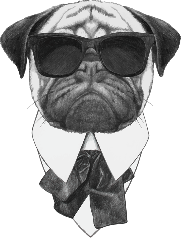 Sunglasses Photography Pug Dog Illustration Stock Cool - Pug Art (608x800), Png Download