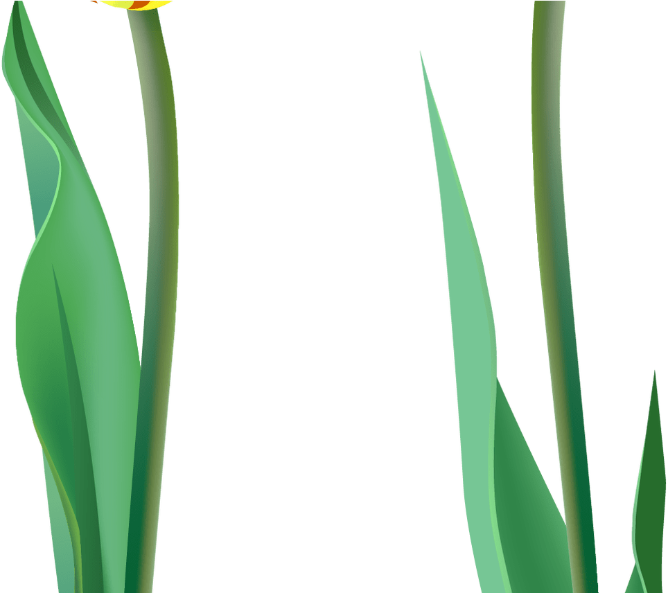 Spring Tulips Png Clipart Gallery Yopriceville High - Grass (1368x855), Png Download