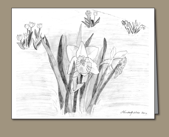 Sketch (650x525), Png Download