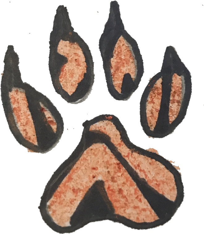 Page Two Tiger Paw Link - Peach (722x768), Png Download