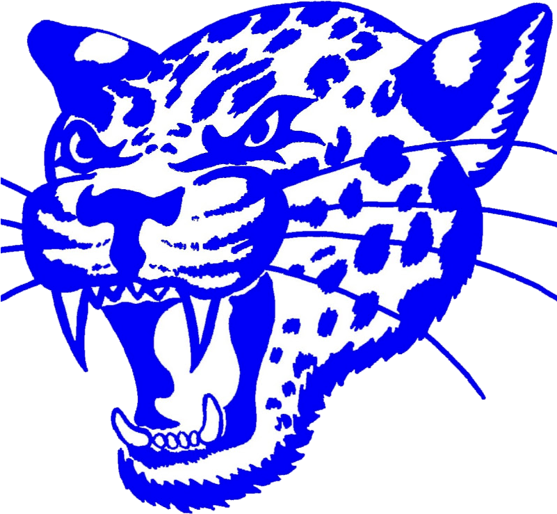 Bbe Jaguars (802x801), Png Download