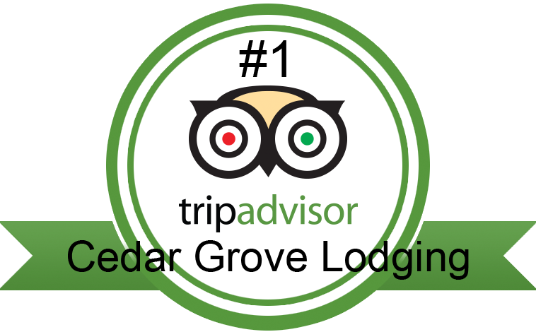 Tripadvisor1 - Circle (758x470), Png Download