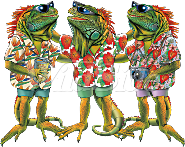 3 Iguanas - Iguana (675x675), Png Download