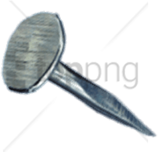 Free Png Download Short Nail Png Images Background - Mayflies (850x567), Png Download