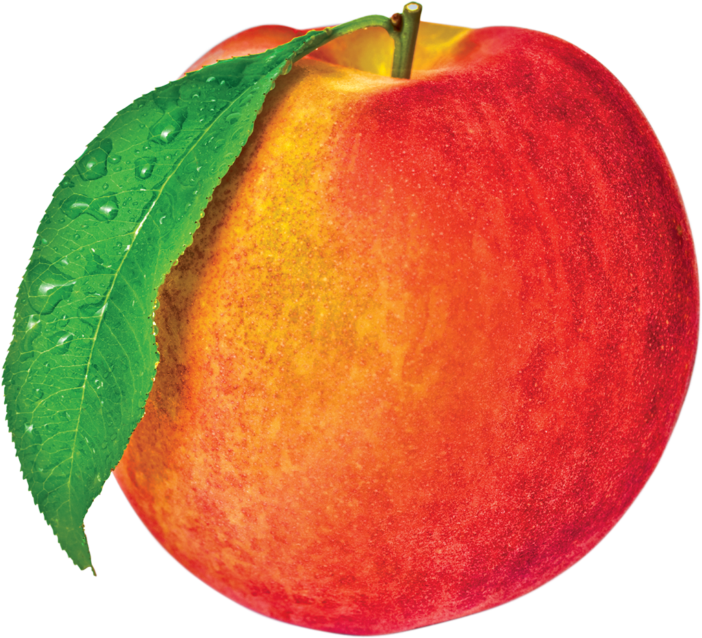 Juicy Peach Tart - Juicy Peach (1024x1024), Png Download