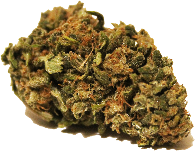 Soldier (1030x1030), Png Download