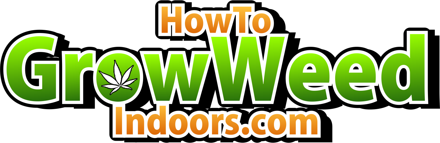 How To Grow Weed Indoors - Orange (1532x498), Png Download