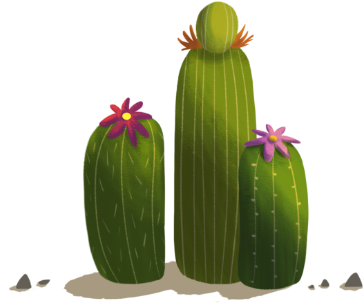 Anna Laera - Hedgehog Cactus (845x671), Png Download