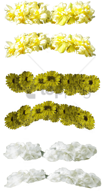 Free Png Yellow Flower Crown Transparent Png Image - Yellow Flower Crown Png (480x811), Png Download