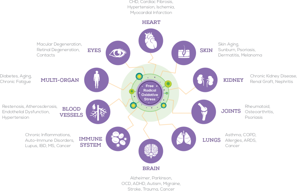 Oxidative Stress Test - Német Kérdőszavak (1024x661), Png Download