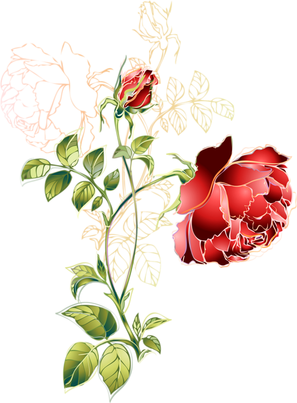 Clip Art (590x800), Png Download