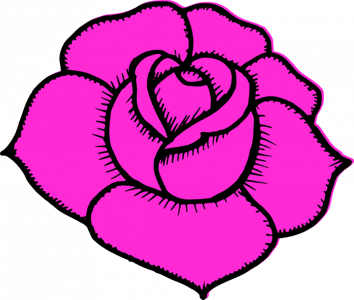 Medium Size Of How To Draw A Simple Rose Bush Bunch - Simple Pink Rose Drawing (728x618), Png Download