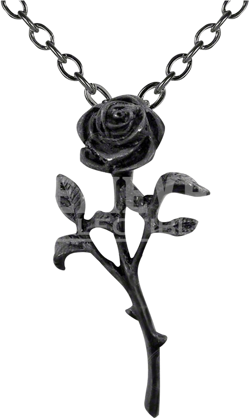 Black Rose Necklace (850x850), Png Download