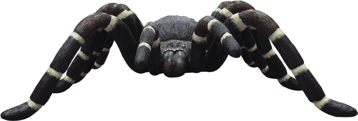 Insect Spider Tarantula Over Sized Bug Prop Resin Decor - Fiddler Crab (1280x960), Png Download