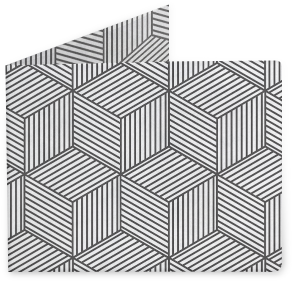Carteira Geometric Lines De Renato Kolbergna - Featherdale Wildlife Park (800x800), Png Download