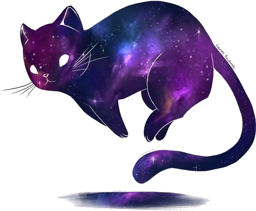 Universe Kitty Png Album - Galaxy Cats (564x564), Png Download