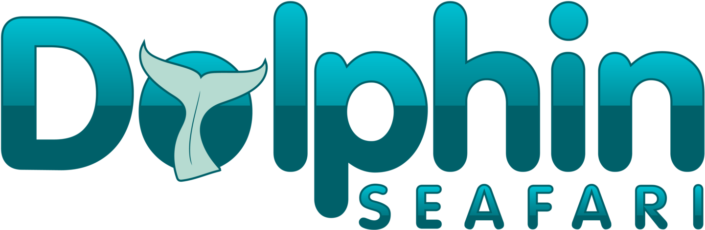 Graphic Design (1500x532), Png Download