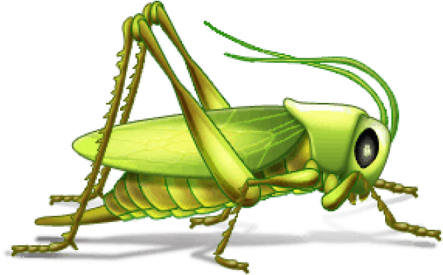 Grasshopper Clipart Cold - Insects Examples With Names (640x480), Png Download