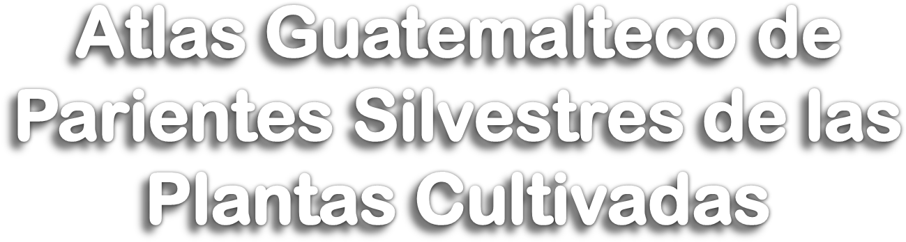 09 Pm 1063 Titulo Old 2/13/2007 - Angeles Map (1469x463), Png Download