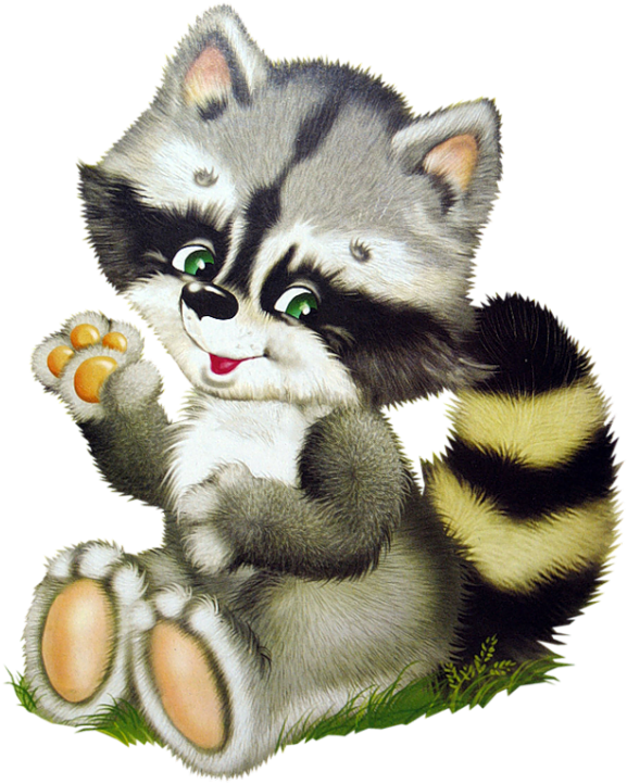 Яндекс - Фотки - Клипарт Енот (600x754), Png Download