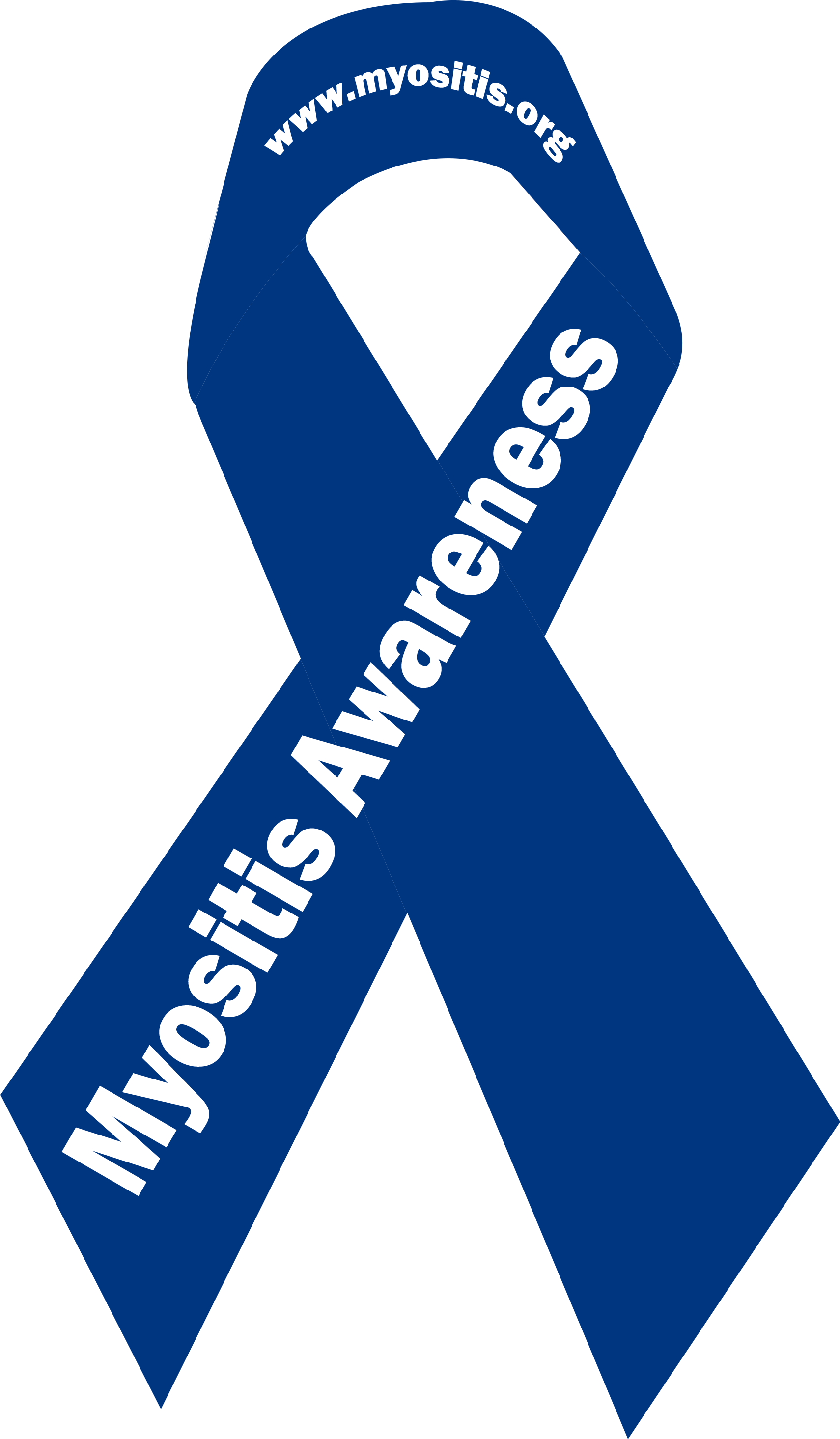 Myositis Awareness Ribbon - Myositis Awareness (2000x3000), Png Download