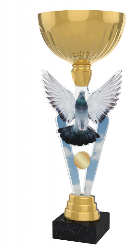London Pigeon Racing Cup Trophy - Table Football Trophy (800x800), Png Download