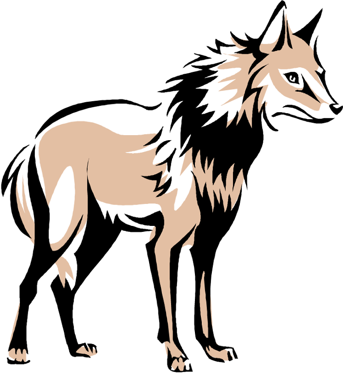 Wolf Cartoon - Clip Art (688x750), Png Download
