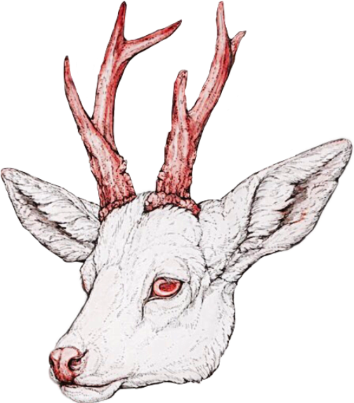 Drawn Antler Eye - Drawing (640x632), Png Download