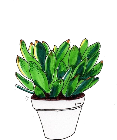 ☁ Transparents ☁ - Plant Aesthetic Tumblr Drawing (500x488), Png Download