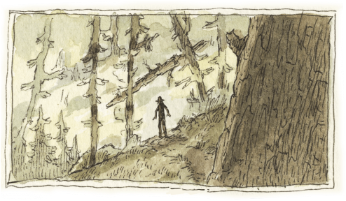 Spooky Forest Shadows - Travel (500x289), Png Download