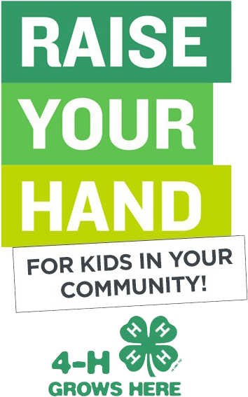 Raise Your Hand 4-h Promotion - 4h Alumni Pin Pinback Button Youth Club (368x582), Png Download