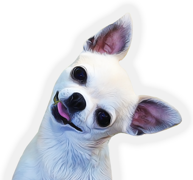 The Chihuahua Club Of America - National Dog Show Chihuahua (648x606), Png Download