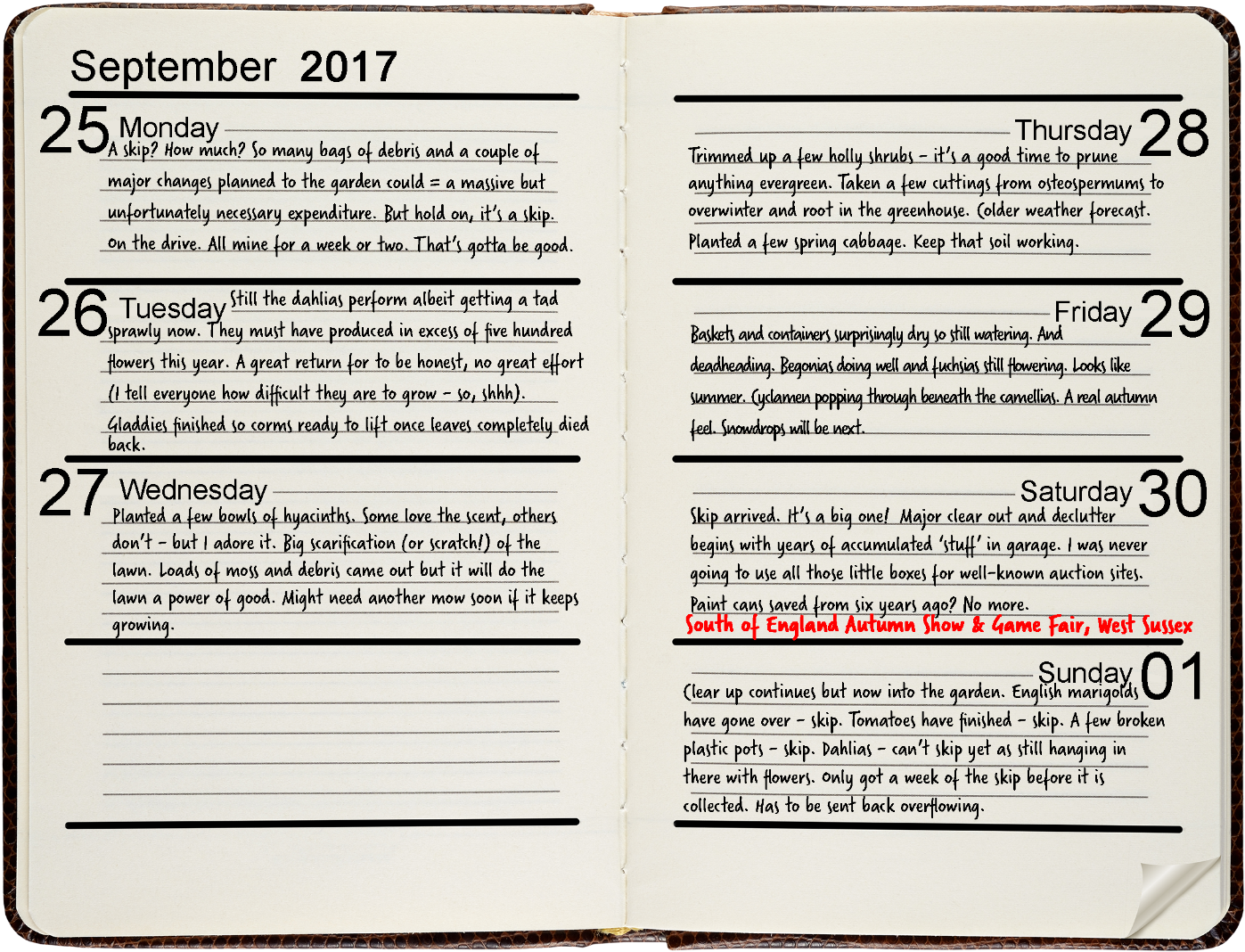 Document (1600x1200), Png Download