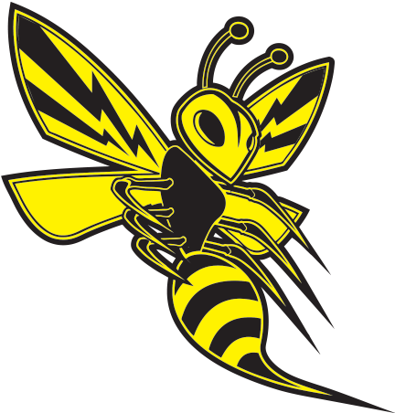 Graphic Freeuse Download Collection Of Free Shopping - Decal Yallow Angry Wasp Car Window Jet Ski (18 X 17,2 (600x600), Png Download