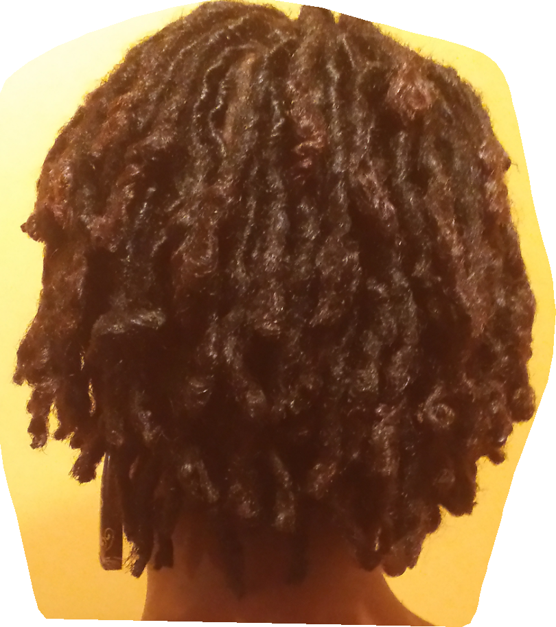 Dreadlock Maintenance - Lace Wig (810x914), Png Download