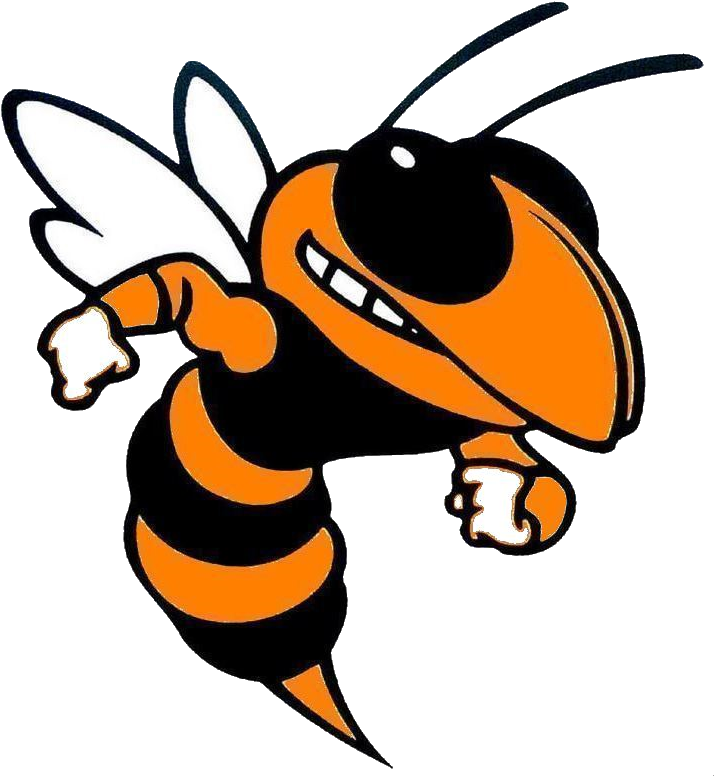 Btw Hornets (726x785), Png Download