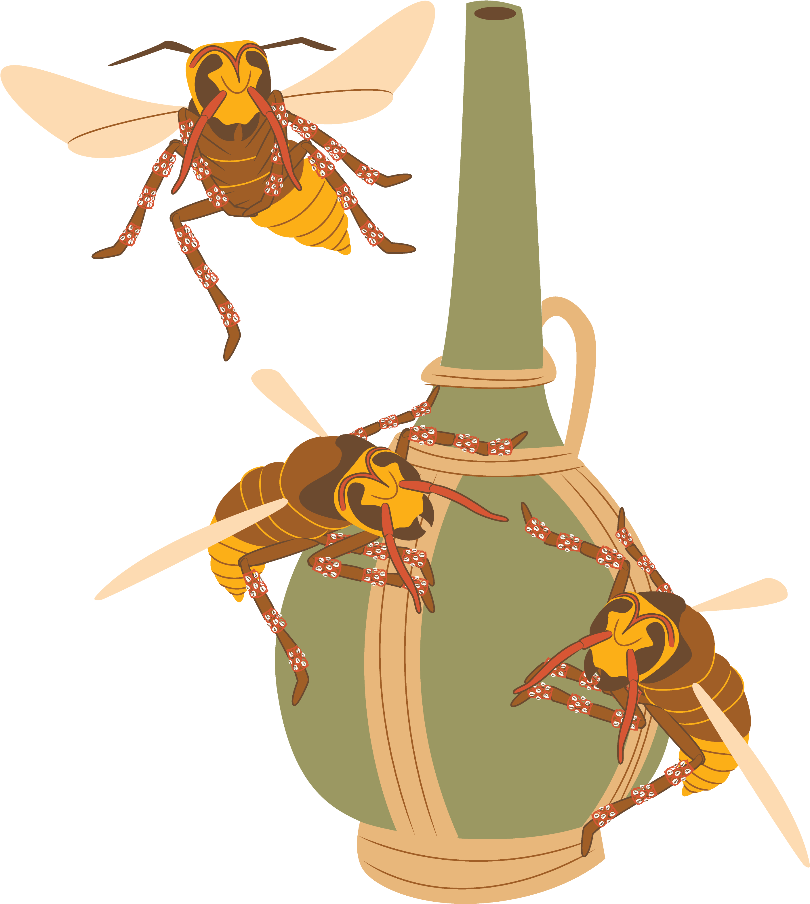 Charlotte Hornets (3334x3334), Png Download