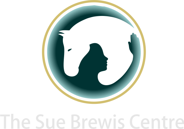 Banner Transparent Psychology Clipart Human Development - Illustration (600x421), Png Download