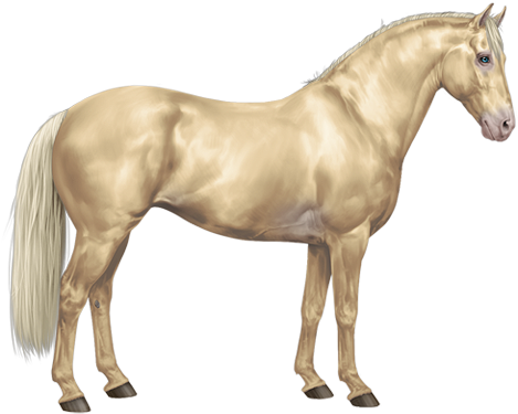 Currents - Ivory Amber Champagne Horse (600x450), Png Download