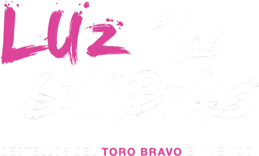 Don T Trust Boys (600x406), Png Download