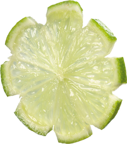 Tube Tranche Fruit Pour Créations (485x550), Png Download