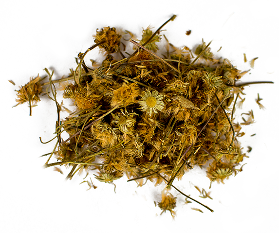 Flower (573x479), Png Download