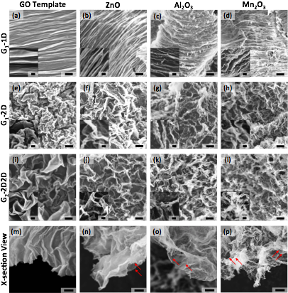 Figure 2 - - Fish (412x417), Png Download