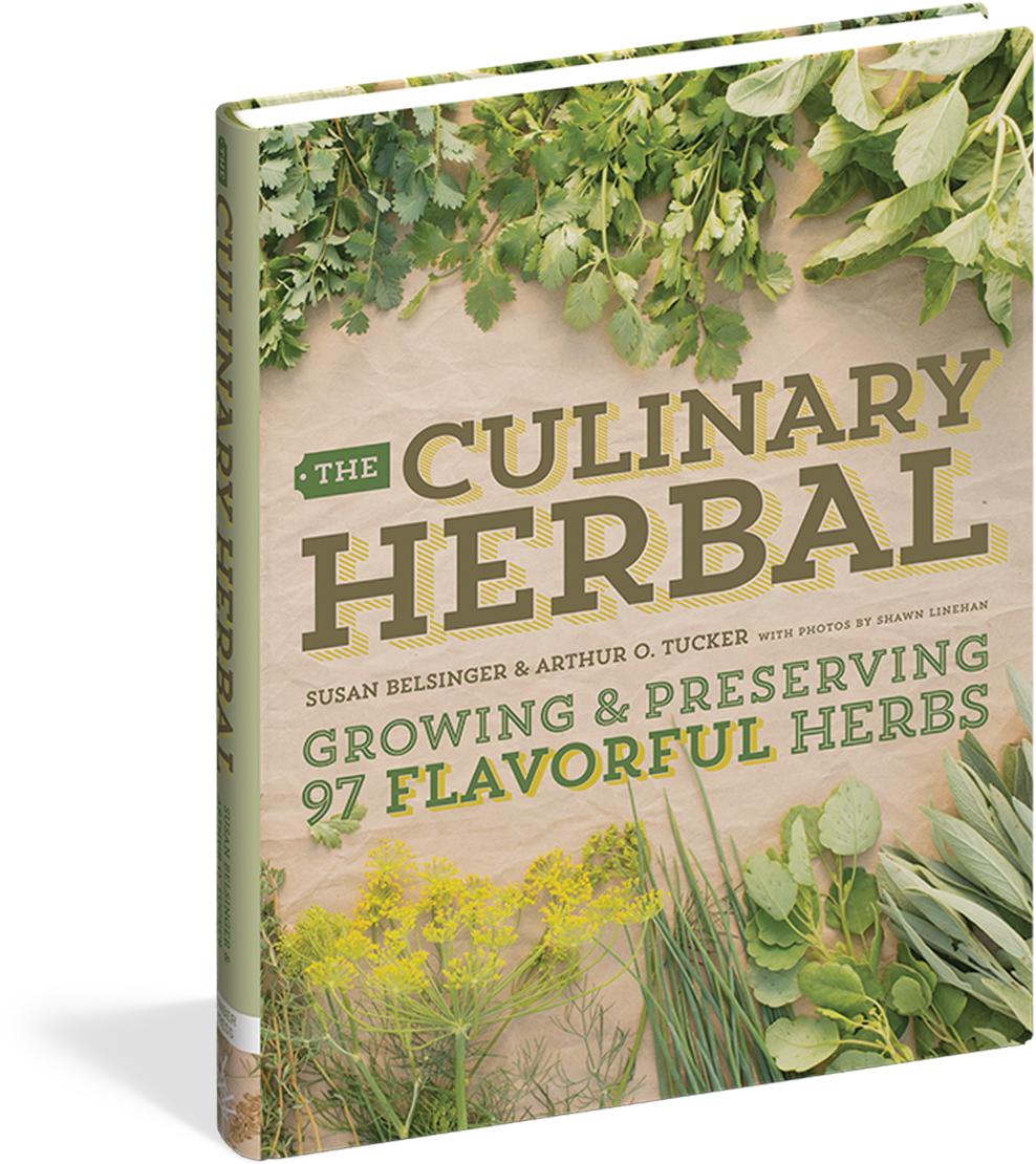 Cover - Culinary Herbal: Growing And Preserving 97 Flavorful (1050x1200), Png Download