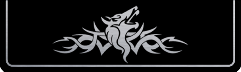 Mustang Coyote Tribal Logo (800x800), Png Download