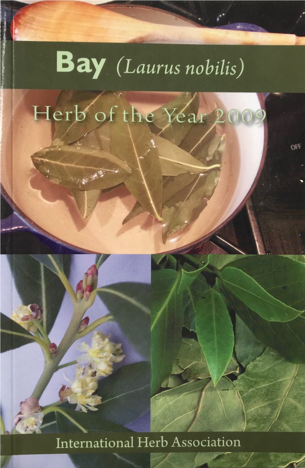 Bay 2009 Herb Of The Year™ - Datura (1800x1800), Png Download