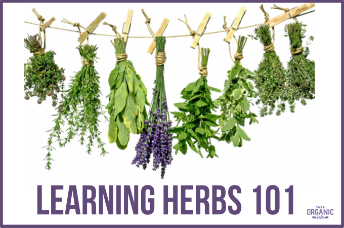 Cafepress Iherb Tile Coaster (680x450), Png Download