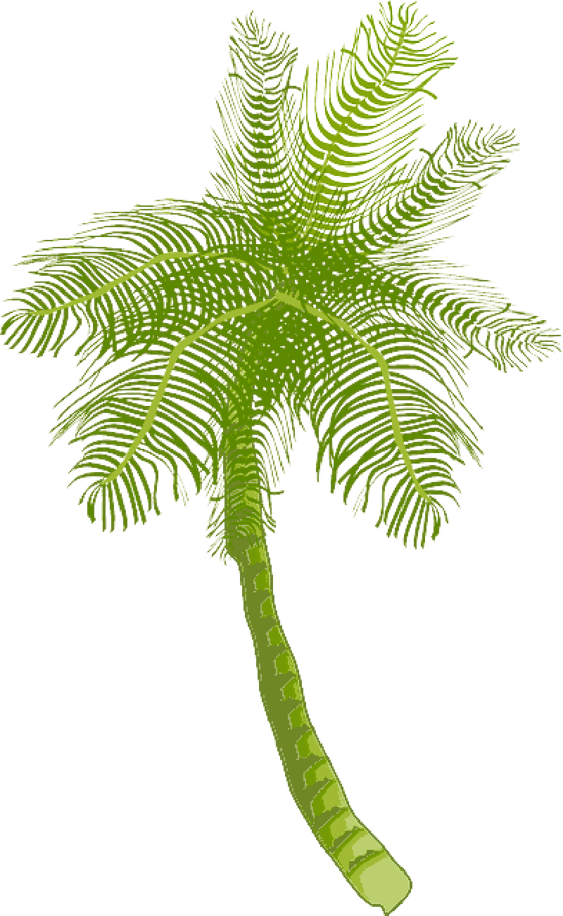 Tree, Ocean, Summer, Vacation, Beach, Palm Leaf - Coconut Tree Clip Art (800x1302), Png Download