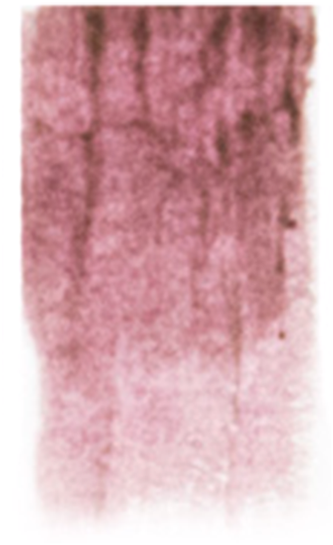 Skin Illustrator Glazing Gels, Sunburn 1, 1 Oz - Cosmetics (1600x1600), Png Download