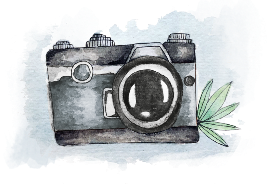 Portfolio - Portable Network Graphics (1000x676), Png Download